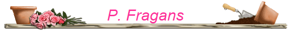 P. Fragans