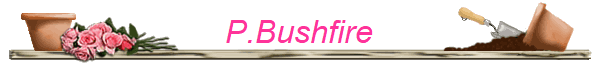 P.Bushfire