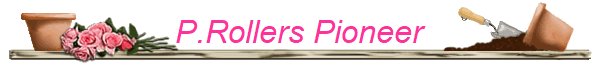 P.Rollers Pioneer