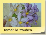 Tamarillo-traubenblütig
